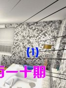 每小我都巴望具有一个清洁、舒服的生